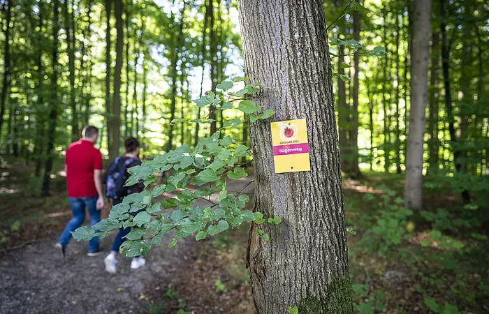 Ein wanderndes Paar ist im Wald auf dem Sagenweg unterwegs.
