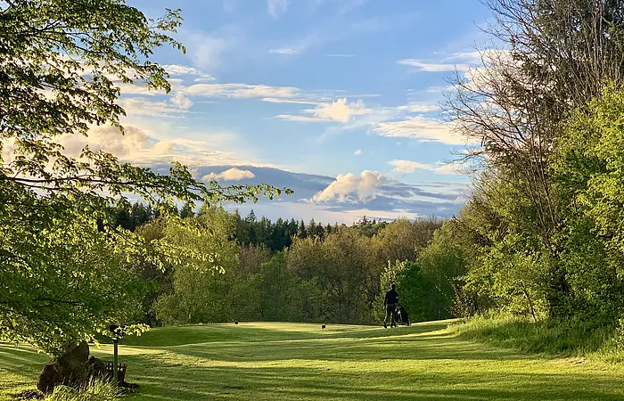 Blick auf einen Golfplatz. Eine flache grüne Wiese. Links und rechts Bäume und Sträucher. Ein Golfer mit Golftasche läuft über den Platz.