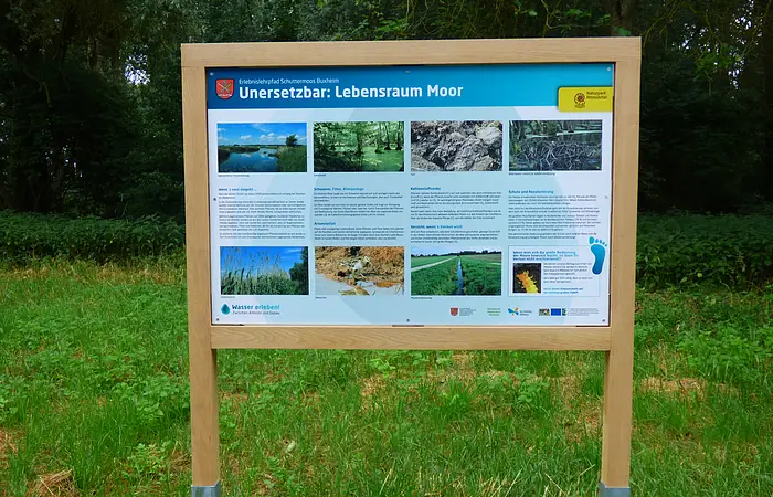Die Infotafel zeigt den Lebensraum Moos und steht mitten im Grünen.