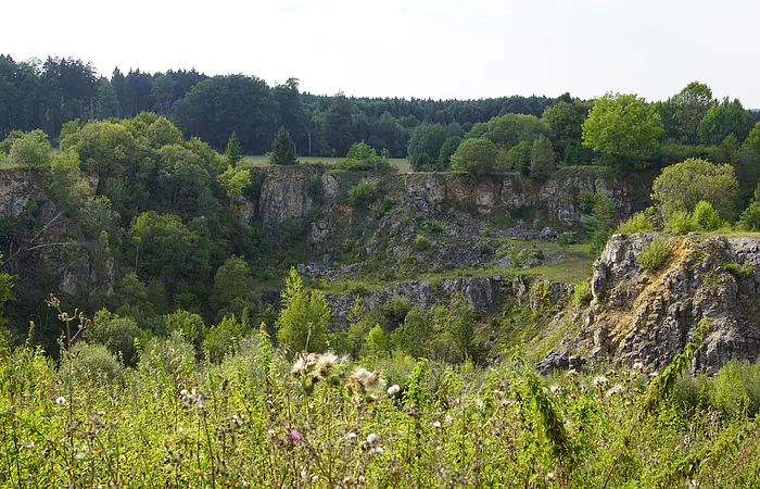 Blick von der Besucherplattform auf den Steinbruch bei Bieswang