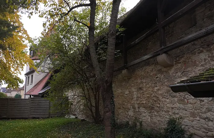 Steinmauer mit Holzbalken, dahinter Bäume und ein Haus mit rotem Dach im Herbst.