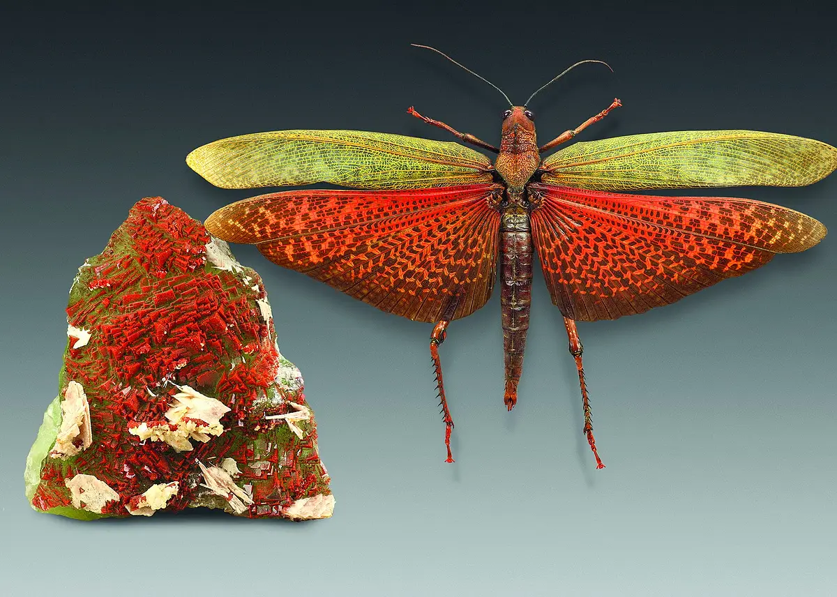 Fliegende Juwelen Kristall mit Schmetterling