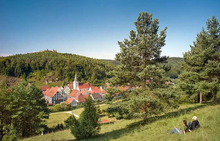 Deutschland, Bayern, Oberpfalz, Hohenburg. 2012