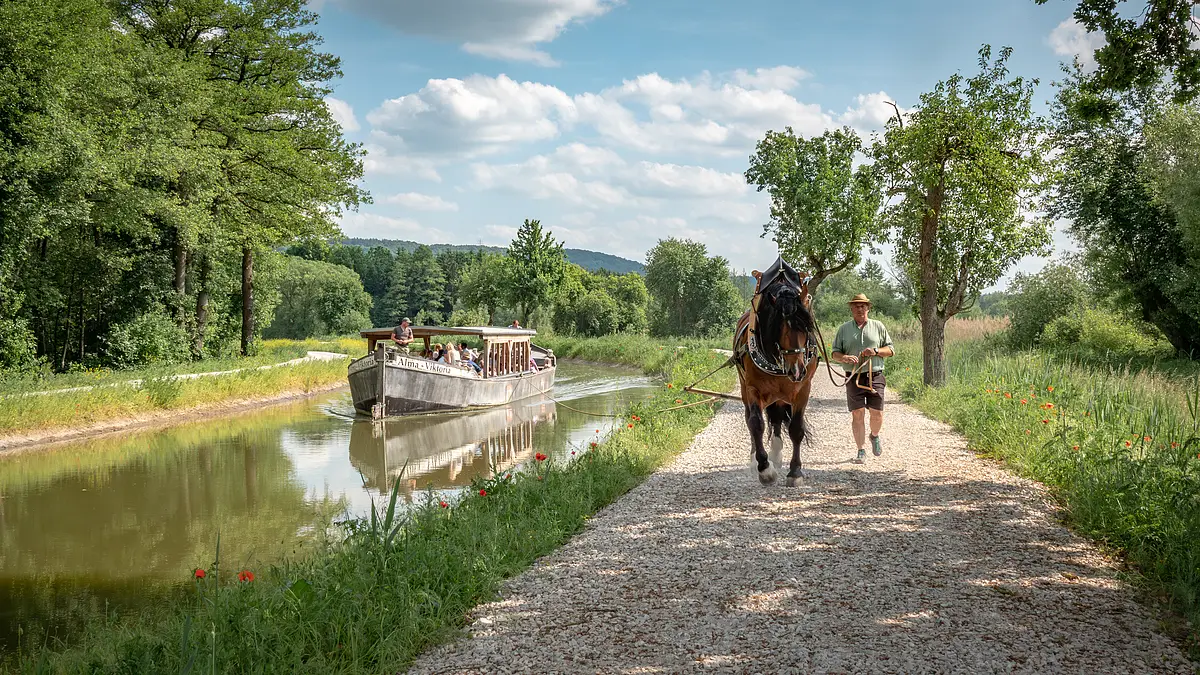 Treidelfahrt auf dem Alten Kanal bei Berching Ein kräftiges, braunes Pferd mit schwarzer Mähne zieht auf einem Schotterweg ein Ausflugsschiff am Treidelpfad entlang eines ruhigen Kanals. Das Pferd wird von einem Mann in grün gestreiftem Hemd, kurzer Hose und Strohhut geführt. Das Schiff mit dem Namen „Alma Viktoria“ gleitet übers Wasser. An Bord sind mehrere sitzende Personen zu erkennen, die die Fahrt genießen. Die Umgebung ist grün und ländlich, mit vielen Bäumen, Wiesen und blühenden Mohnblumen. Der Himmel ist blau mit vereinzelten weißen Wolken.