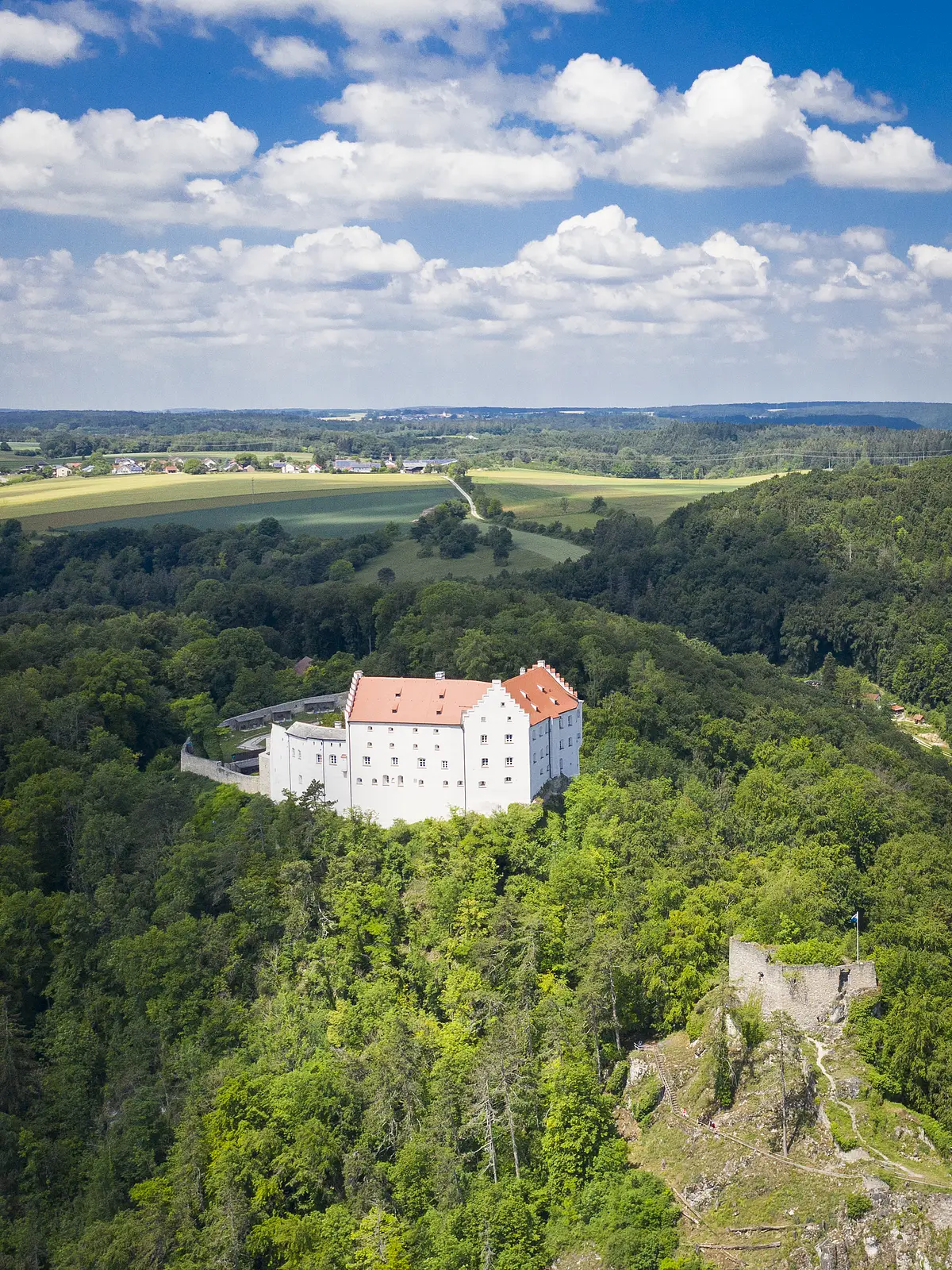 Schloss Rosenburg oberhalb Riedenburg Luftaufnahme eines weißen Schlosses mit rotem Dach, umgeben von Wald und Feldern unter blauem Himmel.