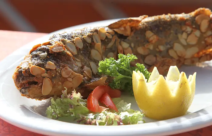 Ganze gebratene Forelle mit Mandelblättchen, Salat, Tomate, Petersilie und gezackter Zitronenhälfte auf weißem Teller.