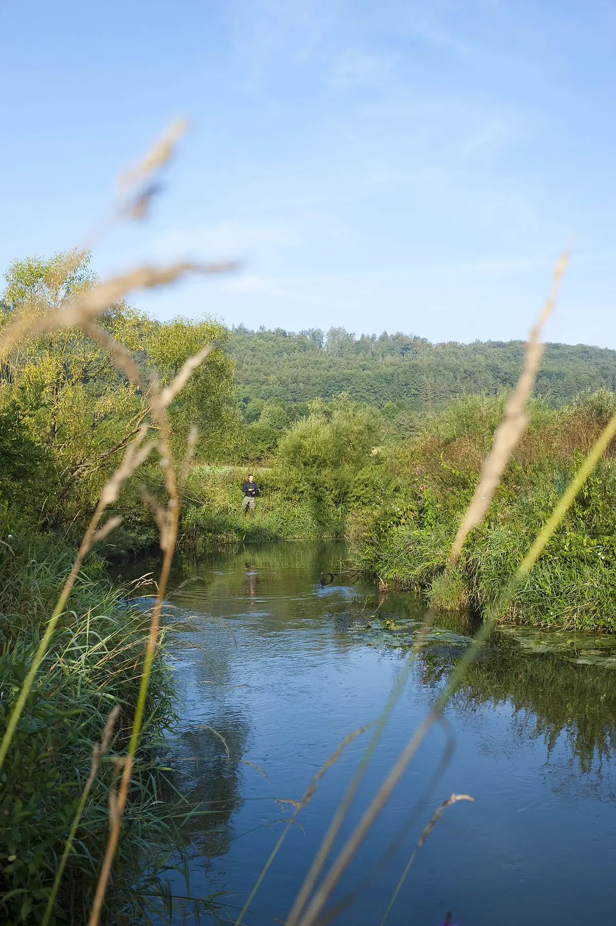Das Foto zeigt einen Angler beim Fischen an der Schwarzach