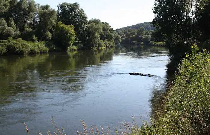 Angelgewässer des Sportanglervereins Burgheim - Donau bei Altisheim