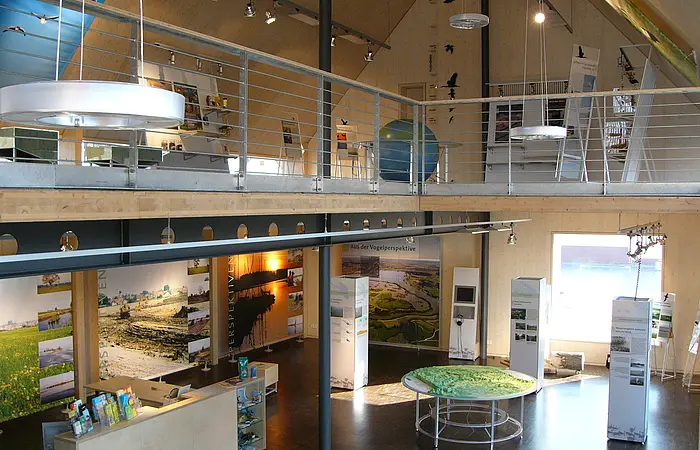 Die Ausstellung "Lebensraum Altmühlsee - Faszination Vogelinsel" erstreckt sich über zwei Etagen.