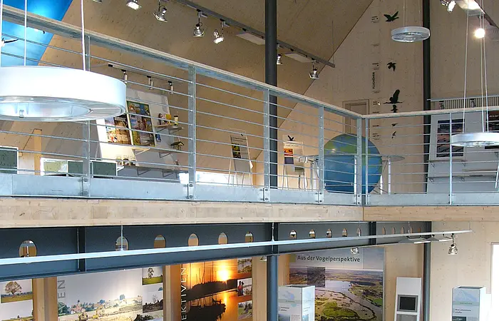 Die Ausstellung "Lebensraum Altmühlsee - Faszination Vogelzug" erstreckt sich über zwei Ebenen.