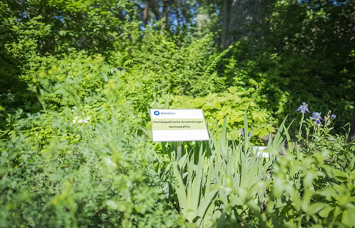Landesgartenschaugelände