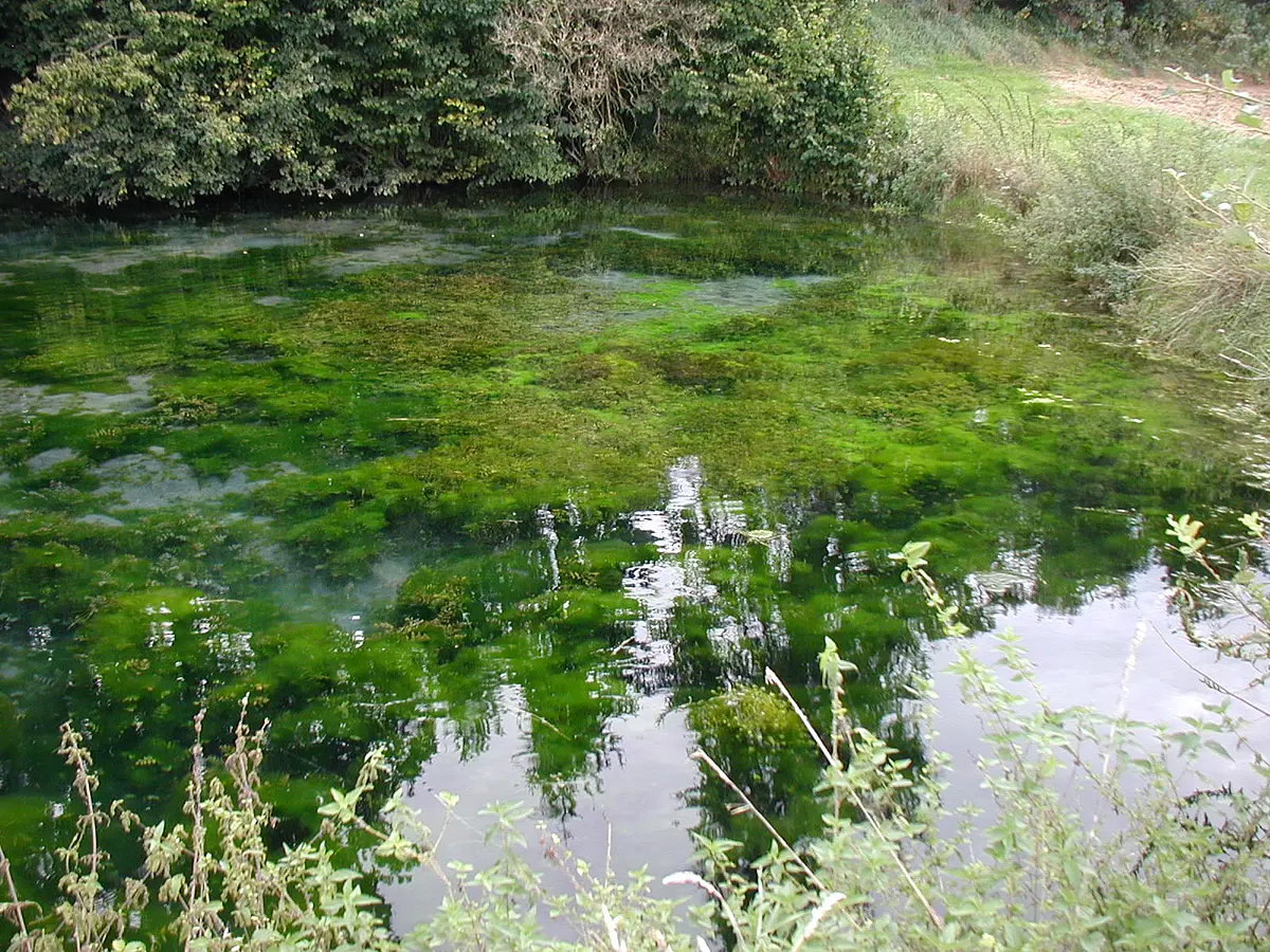 Kelsbachquelle bei Ettling