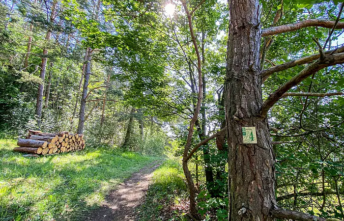 Rundwanderweg ab Beilngries