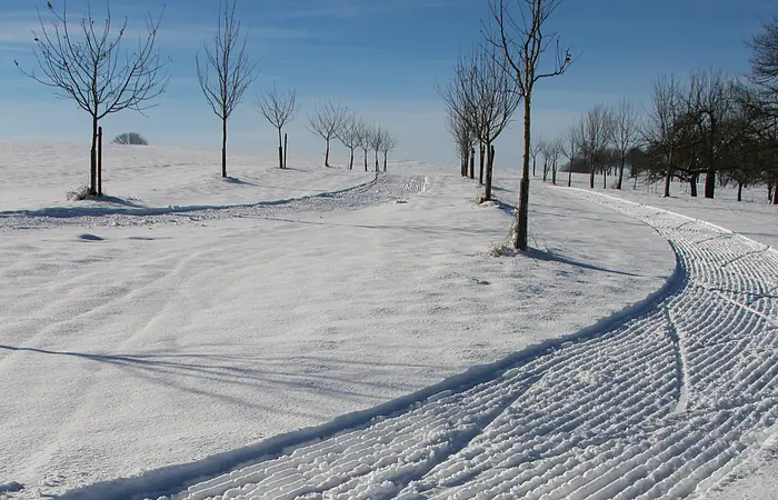 Schneebedeckter Weg mit Spuren und kahlen Bäumen unter blauem Himmel im Winter.
