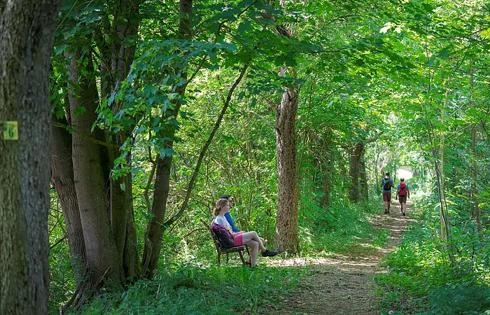 Wanderer im Grünen