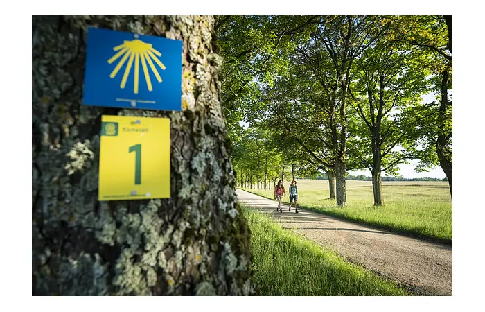 Allee bei Eichstätt
