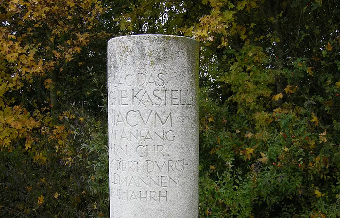 Eine Steinsäule mit lateinischer Aufschrift. Im Hintergund Sträucher.