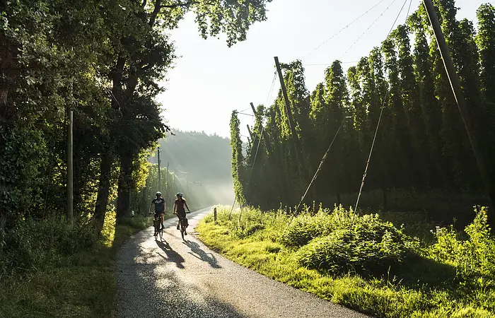 Radfahren-Hallertau