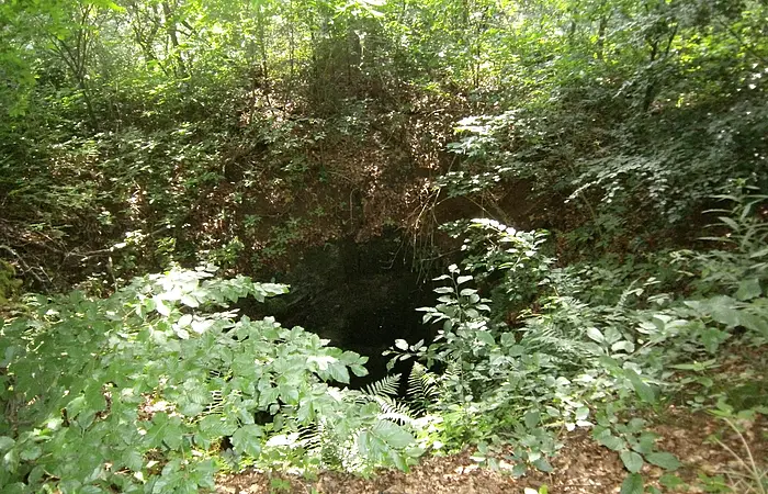 Doline