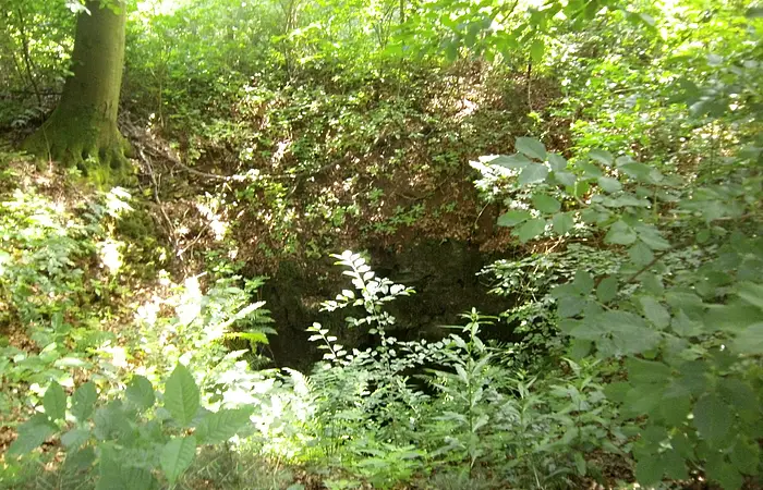 Doline