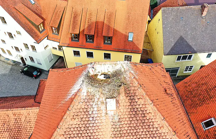 Rotes Dach mit einem Storchennest und einem Storch darin, umgeben von bunten Häusern mit roten und grauen Dächern.