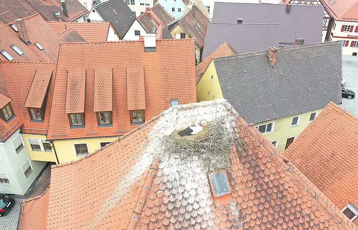 Dach mit einem Storchennest und einem Weißstorch, umgeben von weiteren Häuserdächern mit roten und dunklen Ziegeln in einem Ort.