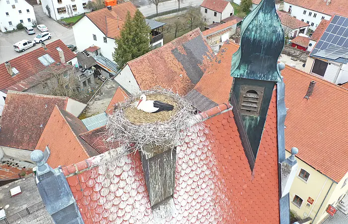 Weißstorch sitzt im Nest auf einem Dach mit roten Ziegeln in einem Dorf mit mehreren Häusern, bei bewölktem Himmel.