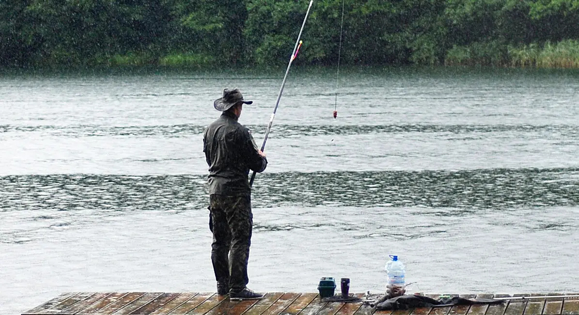 Angler an der Donau Person steht auf Holzsteg und angelt an einem See mit bewaldetem Ufer im Hintergrund.