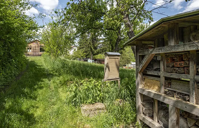 Die Aufnahme zeigt ein Holzgebäude im Grünen. 
Im vorderen Bildbereich führt eine Auffahrt direkt auf das Gebäude zu. 
Die Fassade des Hauses ist ganz aus Holz und umrandet zwei quadratische Fenster und ein dunkelrotes Schild, auf dem in beiger Schrift „Lehrbienenstand“ steht. Hinter dem Gebäude stehen zwei Birken. Links und rechts der Auffahrt wachsen blühende Sträucher und Hecken.