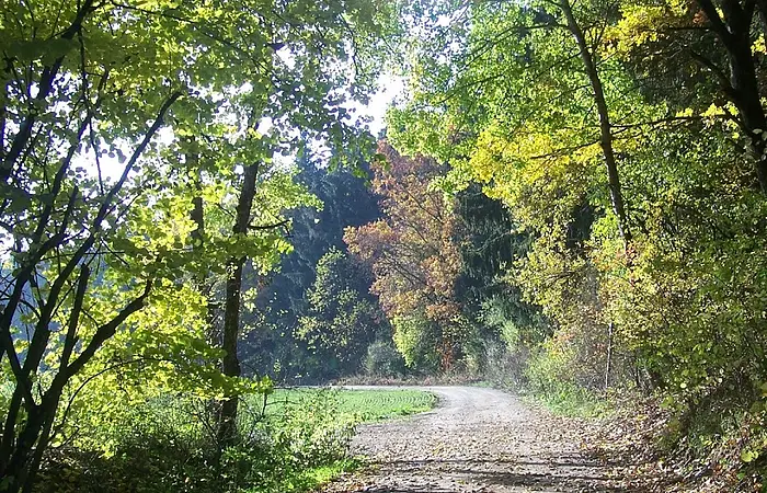 Der Kräuterweg führt Sie durchs Katzental zwischen Böhmfeld und Schambach.
