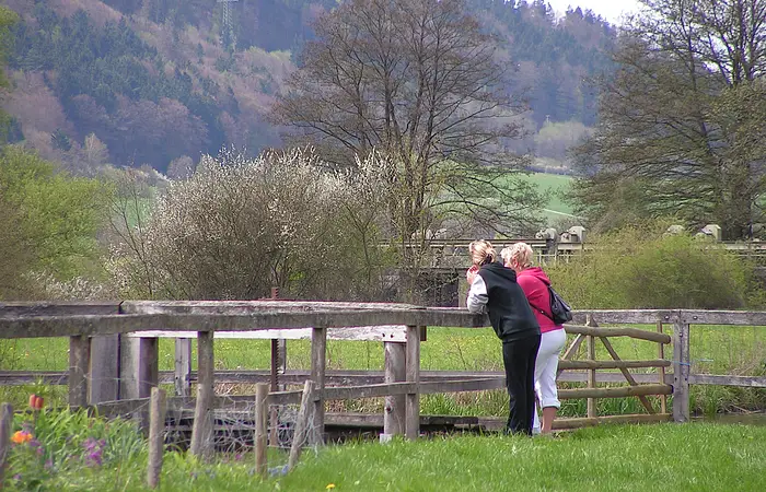 Zwei Wanderer schauen in die Schleusenkammer am historischen König-Ludwig-Kanal bei Mühlbach. Im Hintergrund ein Wehr und bewaldeter Hang