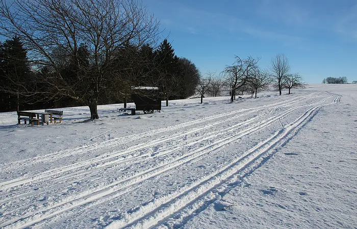 Im Hintergrund eine Schnee bedeckte Landschaft und ein Wald, vordem eine gespurte Landlaufloipe führt.