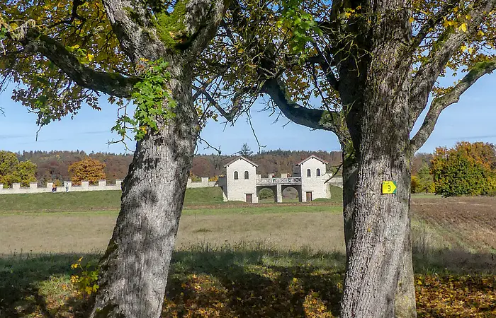 Blick durch zwei Bäume auf das Römerkastell in Pfünz