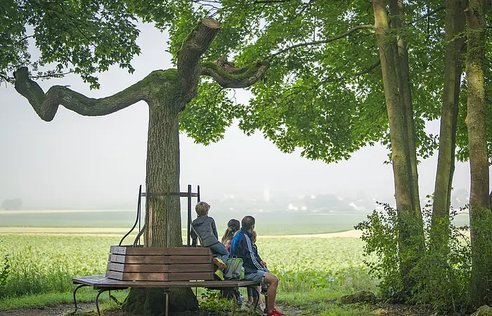 Eine Gruppe von Menschen sitzt auf einer Bank, die um einen Baum herum gebaut ist, mit Blick auf eine weite Landschaft.
