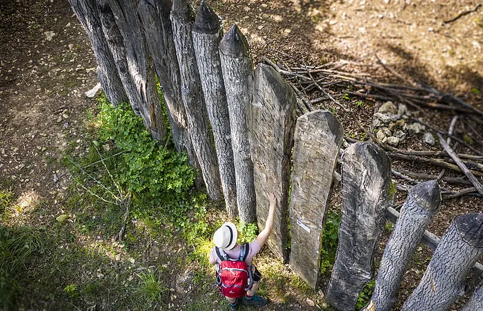 Palisade Kipfenberg