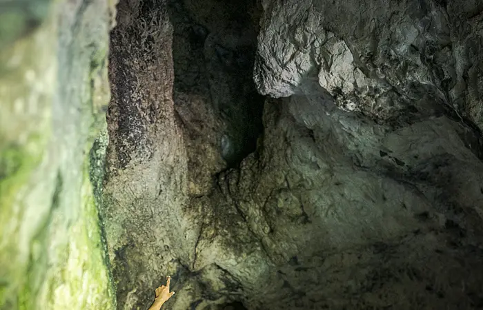 Eine Familie steht in einer Höhle, ein Erwachsener zeigt auf eine Felswand.