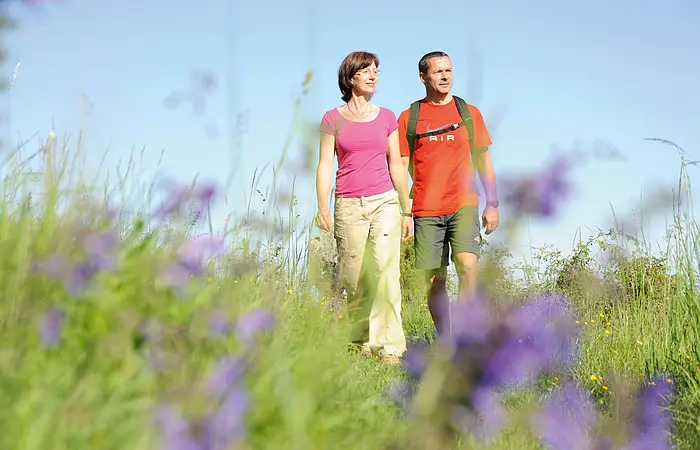 Wanderer auf blühender Wiese