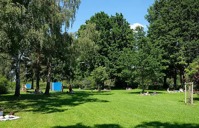 Blick auf die Liegewiese mit ihren Bäumen