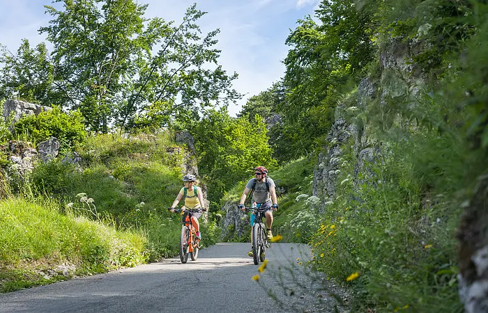Zwei Radler mit Fahrradhelmen radeln inmitten grüner Hänge und Wiesen bei Kipfenberg.