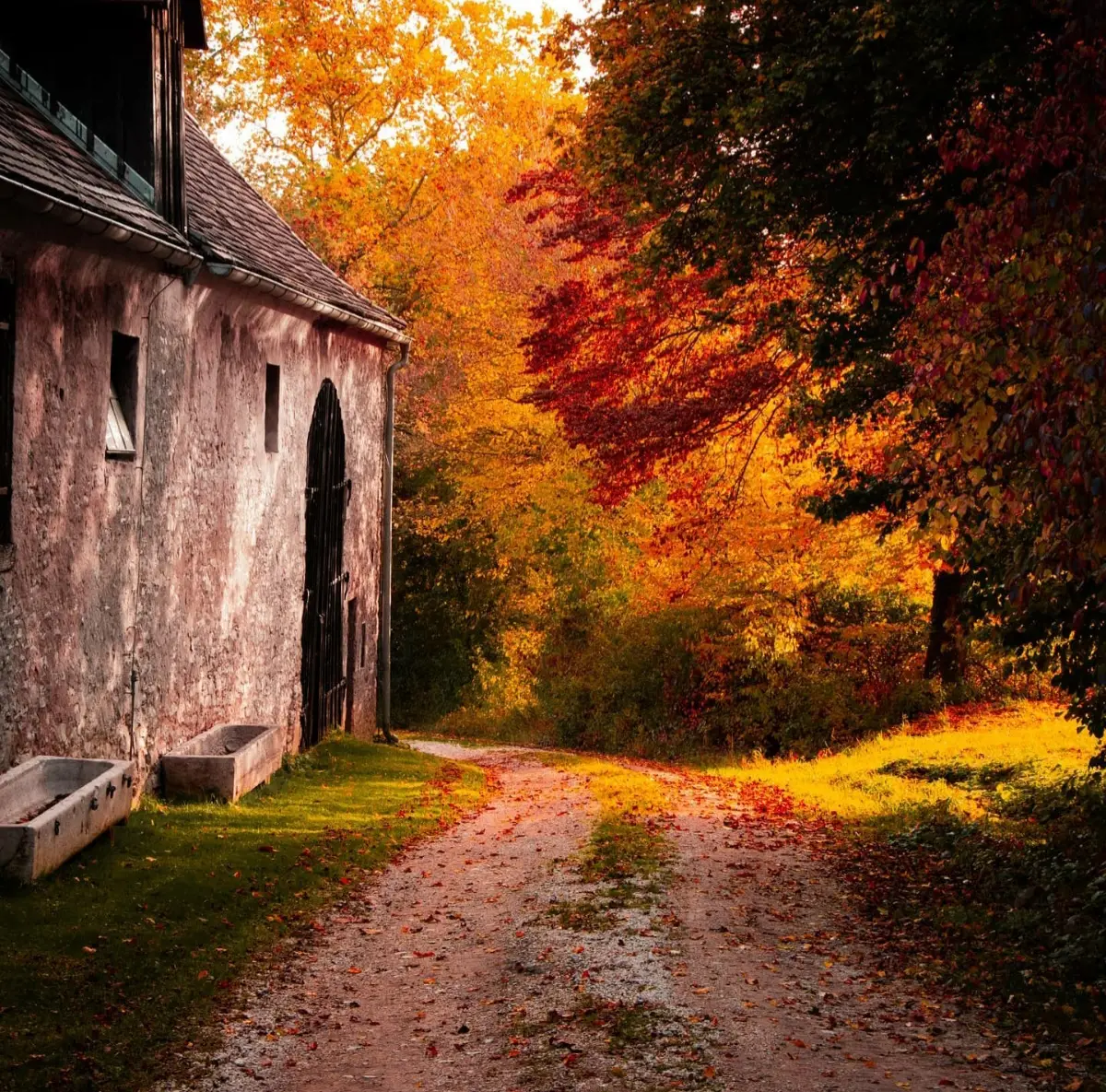 Herbststimmung in Möhren