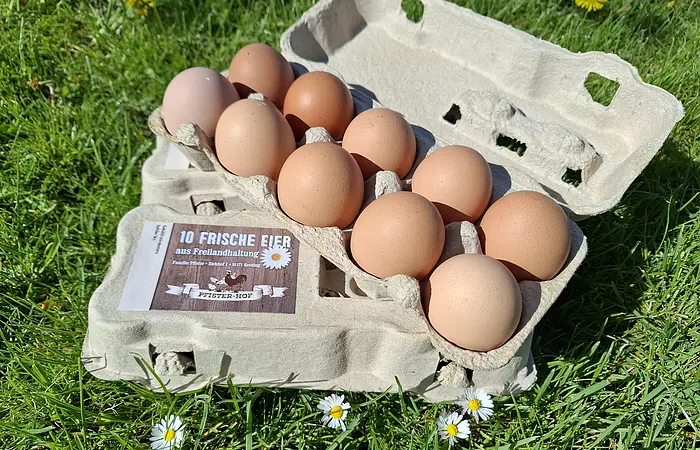 Geöffneter Eierkarton mit zehn braunen Eiern auf Gras mit Gänseblümchen liegend.