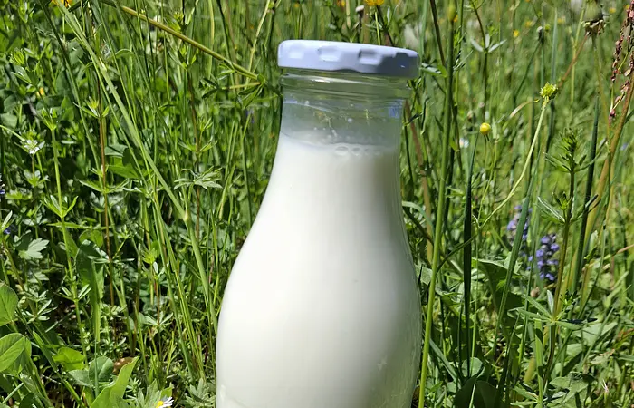 Glasflasche mit Milch steht auf einer Wiese mit grünen Gräsern und gelben Blumen.