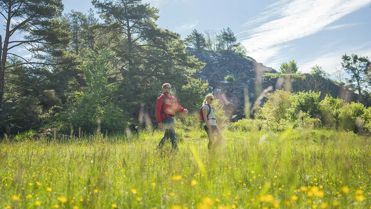Steinbruch Treuchtlingen-13 Wanderer von der Natur umgeben auf einer Wiese und im Hintergrund Bäume und ein Berg