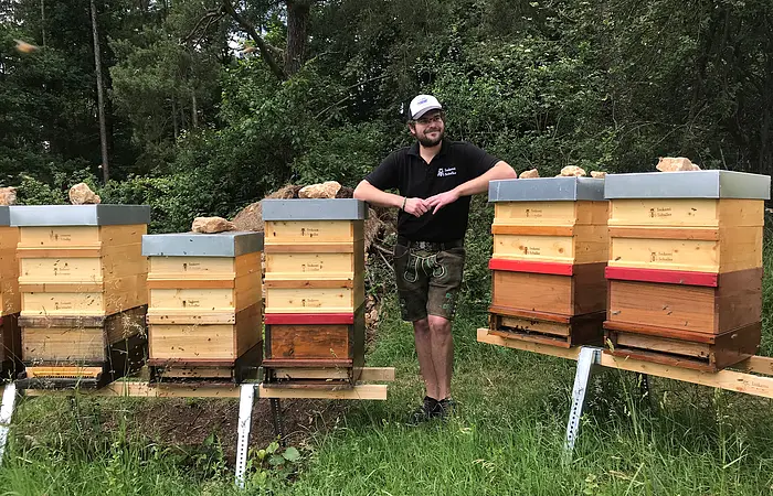 Imker mit Bienenstöcken