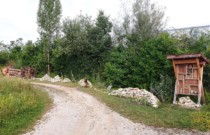 Schotterweg mit Steinhaufen und Insektenhotel rechts im Bild vor dichtem Grün unter bewölktem Himmel.