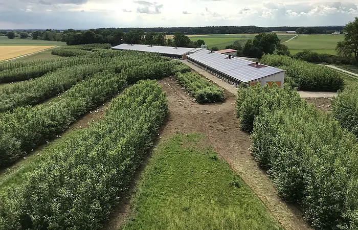 Gemüsefeld mit Stallgebäuden