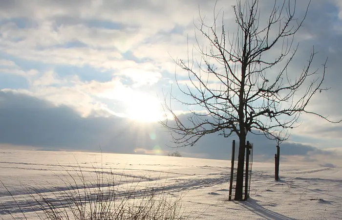 Eine Schnee bedeckte Landschaft mit strahlendem Sonnenschein.