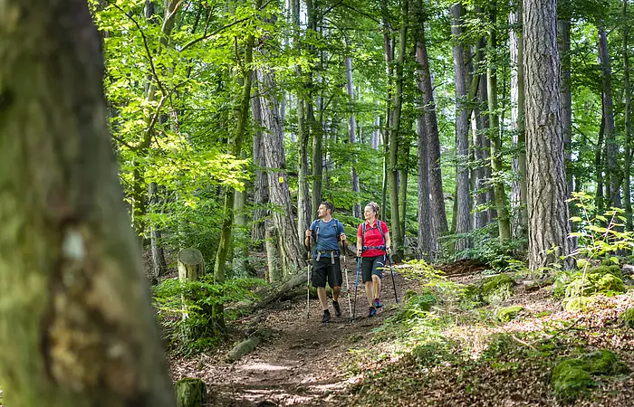 Schlaufe 16 bei Kipfenberg