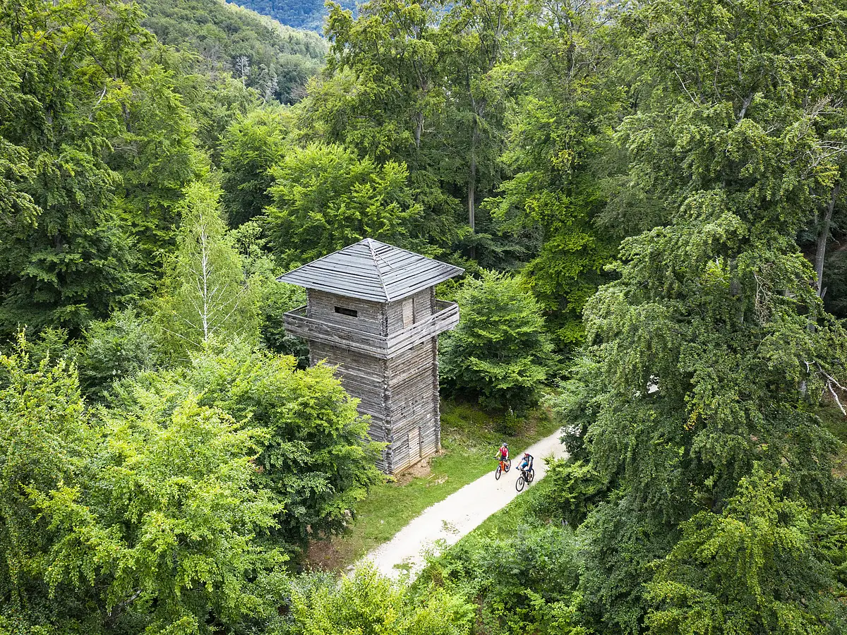 Radler am Limesturm Kipfenberg Holzturm neben einem Waldweg mit zwei Radfahrern, umgeben von dichtem grünem Laubwald.