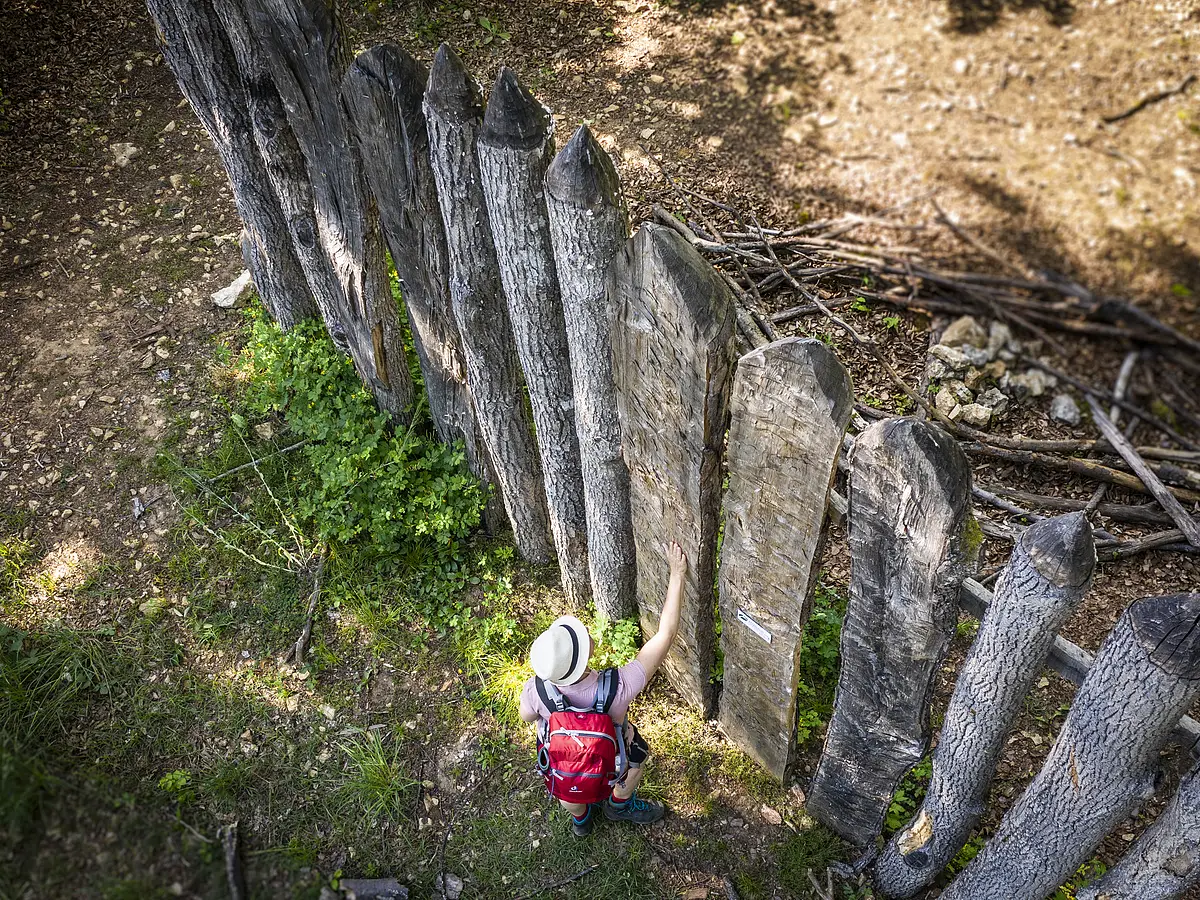 Palisade Kipfenberg